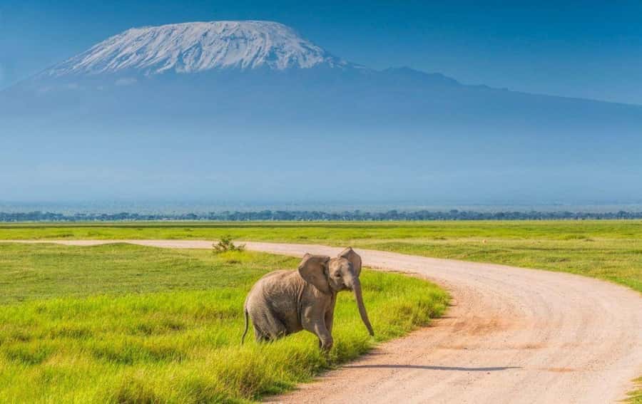6 Days, Group Safari to Masai Mara, Lake Nakuru and Amboseli - Sleeping arrangements and comfort
