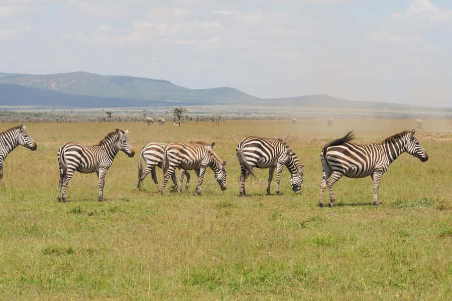 6 Days Kenya Budget Safari - Day 1: Nairobi to Maasai Mara by way of the Rift Valley