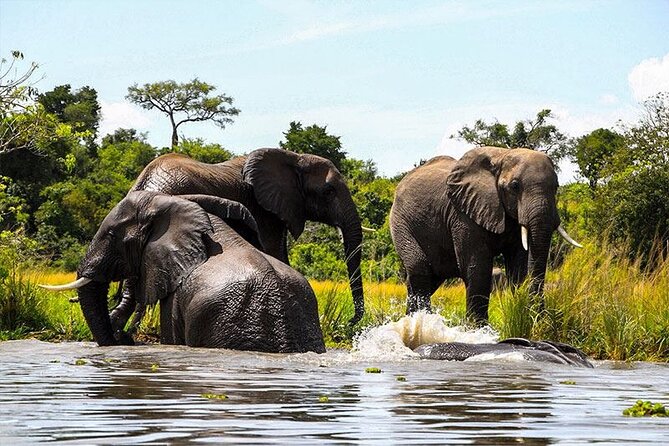 6-Days of Elephants, Wildebeest and Big 5: Kenya’s Classic Safari - Day 3: Rift Valley views and Lake Nakuru’s rhinos