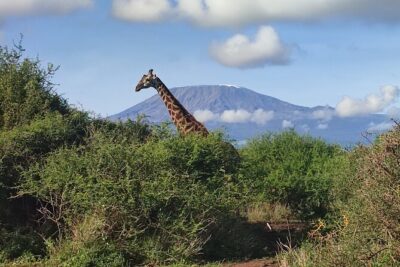 6-Days of Elephants, Wildebeest and Big 5: Kenya’s Classic Safari