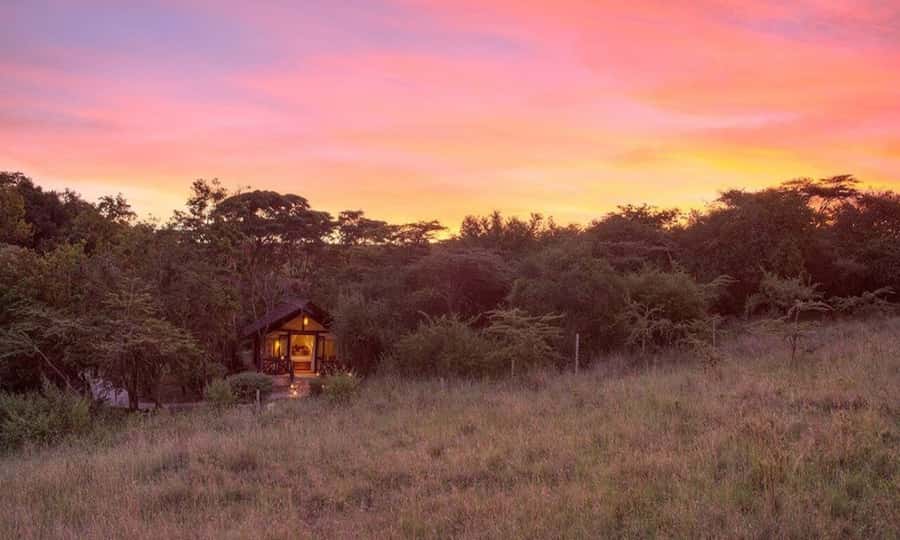 6 Days Small Group Safari To Masai Mara, Nakuru And Amboseli - Why this route works for a first Kenya safari