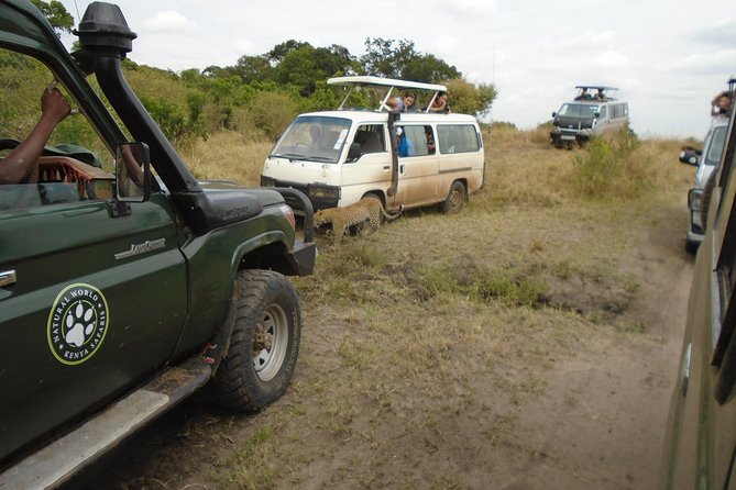 African Wildlife & Nature - 5 Kenya national parks - 6 day Jeep Safari - A fast route through Kenya’s best-known safari country