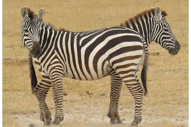 African Wildlife & Nature - 5 Kenya national parks - 6 day Jeep Safari - What the $3,660 price includes
