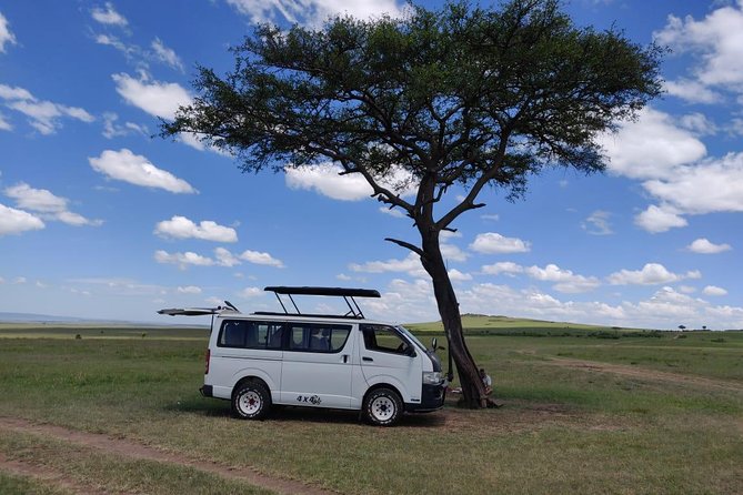 Afternoon half day mini safari to Nairobi National Park - What the $190 price really covers