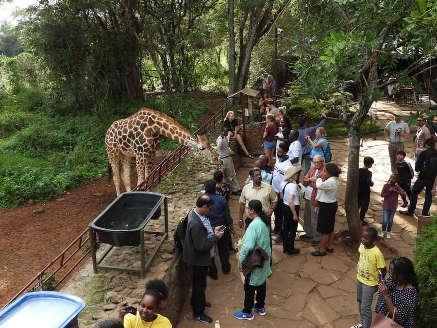 All-Inclusive: Giraffe Centre & Kazuri Beads Factory Visit - Key points to know before booking