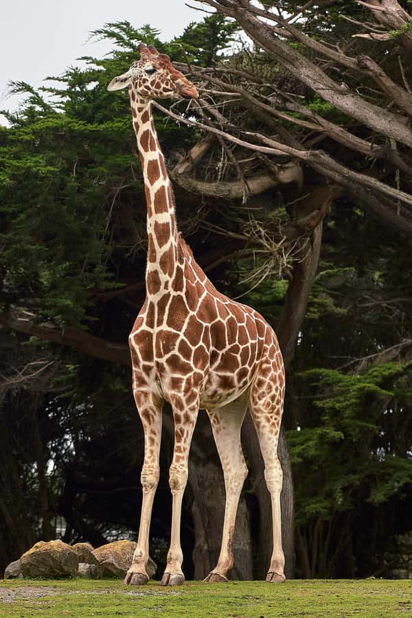 All-Inclusive: Giraffe Centre & Kazuri Beads Factory Visit - Kazuri Beads, from clay to finished jewelry