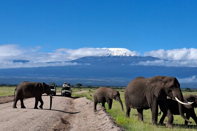 Amboseli Day Tour from Nairobi - Entering Amboseli National Park