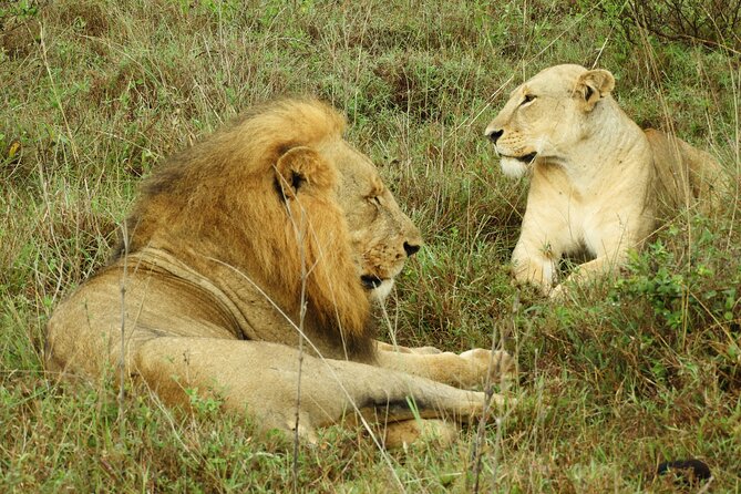 Amboseli Day Tour from Nairobi - Mount Kilimanjaro, clouds, and timing