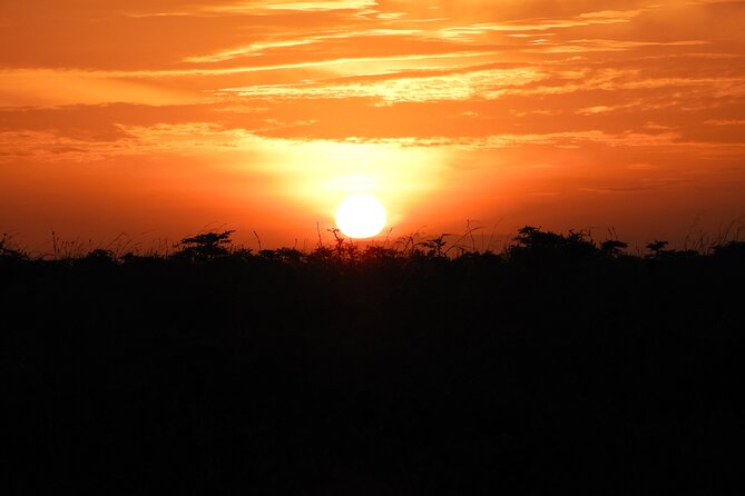 Amboseli Day Tour from Nairobi - What the guides add to the day