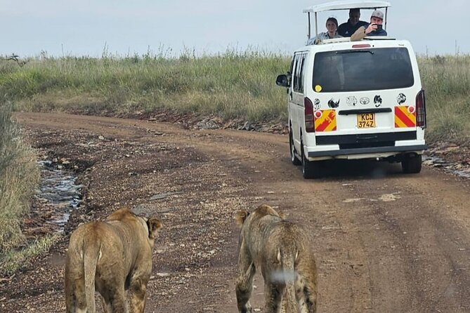 Amboseli Day Trip with Pickup - Why Kilimanjaro makes this safari special
