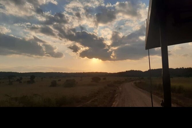Amboseli Day Trip with Pickup - What is included, and what you still pay for