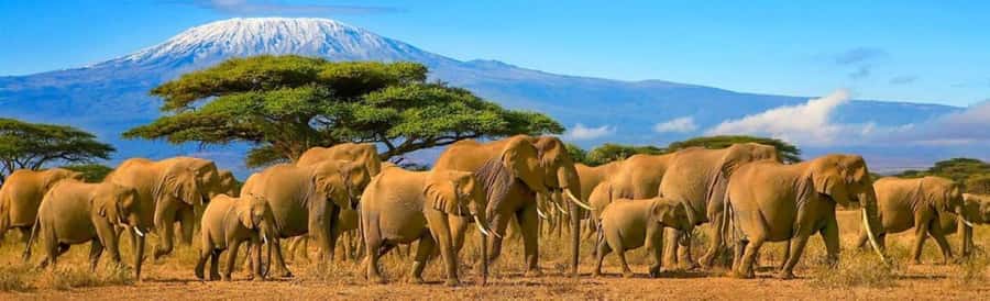 Amboseli National Park 3-Day Safari from Nairobi - Why three days works well in Amboseli