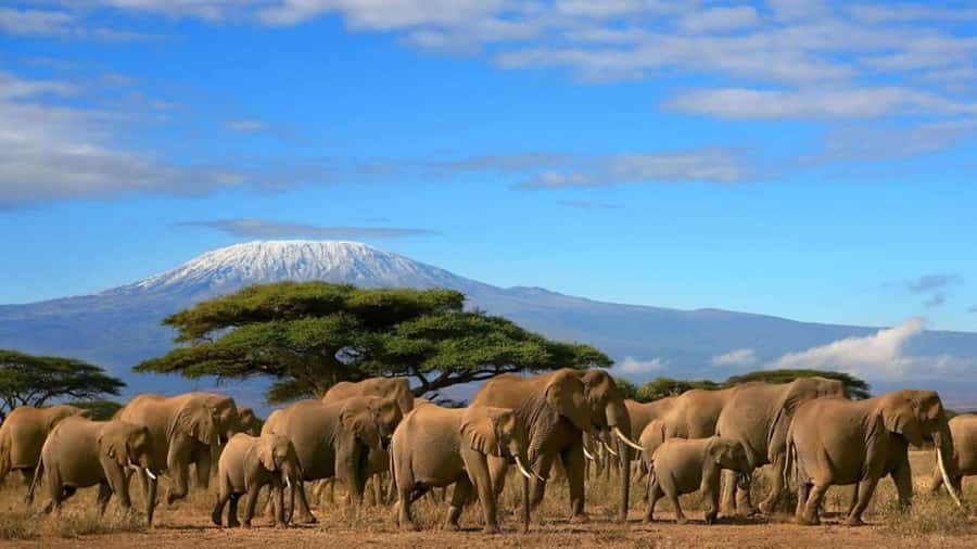 Amboseli National Park 3-Day Safari from Nairobi - Lunch, camp time, and the first night