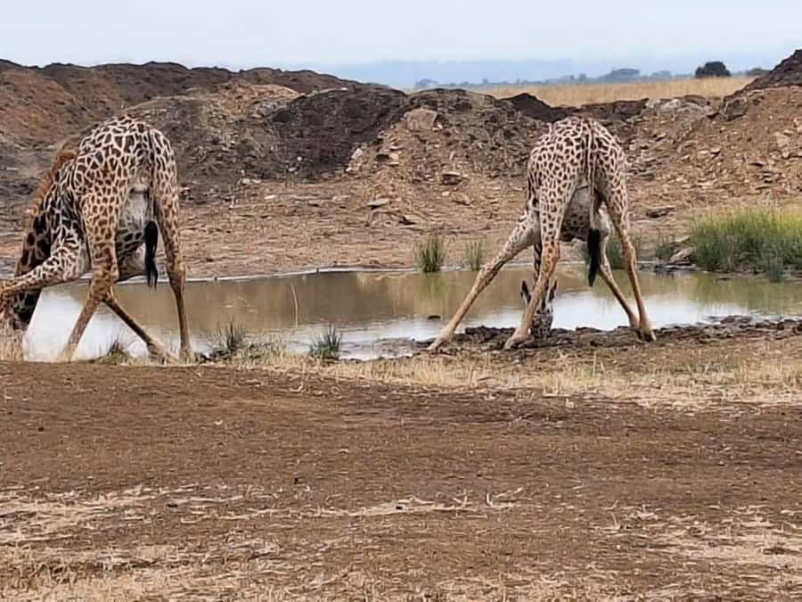 Amboseli National Park 3-Day Safari from Nairobi - A Maasai village visit at sunset