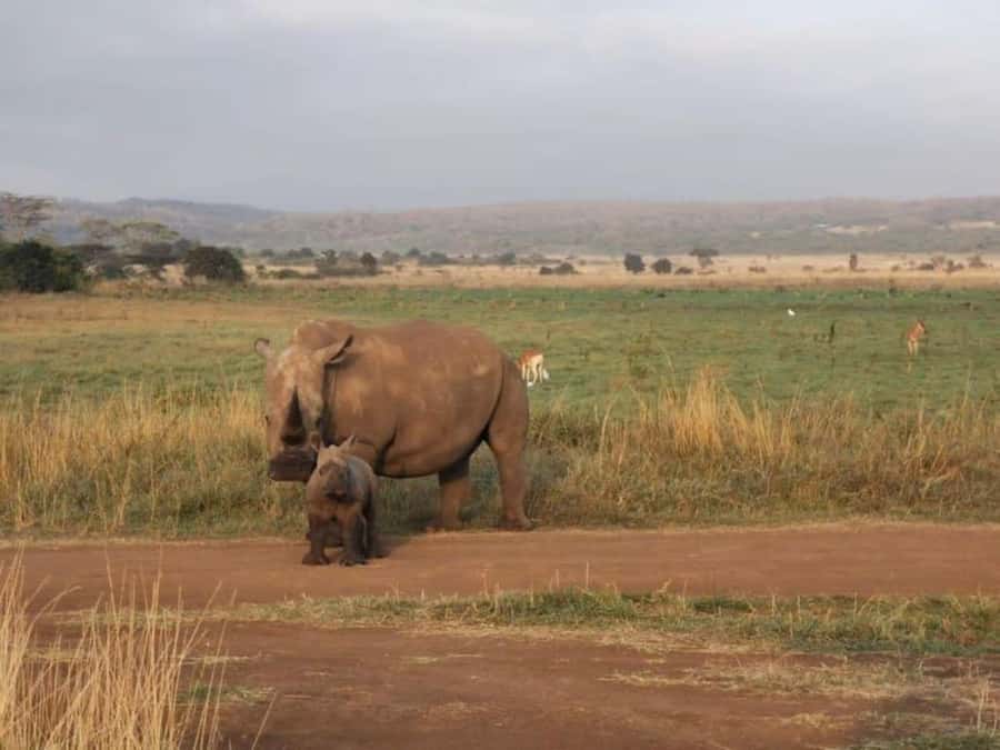 Amboseli National Park 3-Day Safari from Nairobi - Food, lodging, and what the price really covers