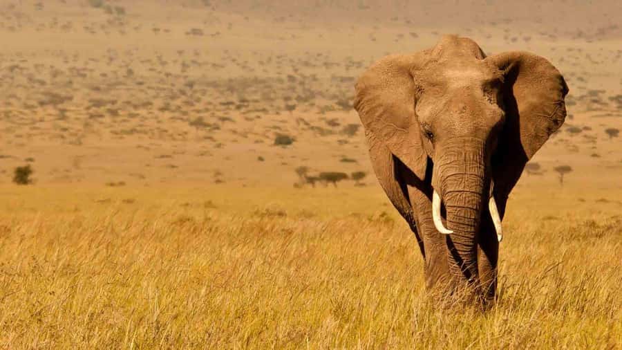 Amboseli National Park 3-Day Safari from Nairobi - The three-hour drive from Nairobi