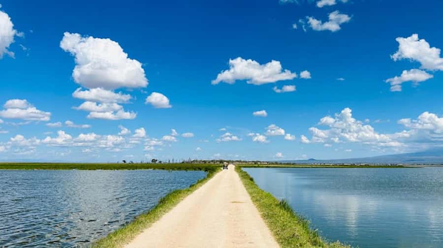 Amboseli National Park Day Trip and Maasai Village Visit - What the $194 price really covers