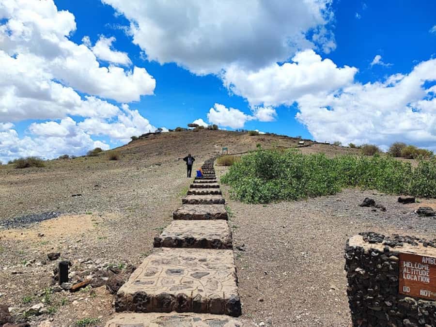 Amboseli National Park Day Trip and Maasai Village Visit - Who will enjoy this day trip