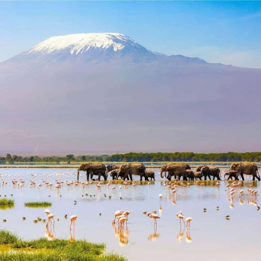 Amboseli National Park Day Trip and Maasai Village Visit - What to bring and what to avoid