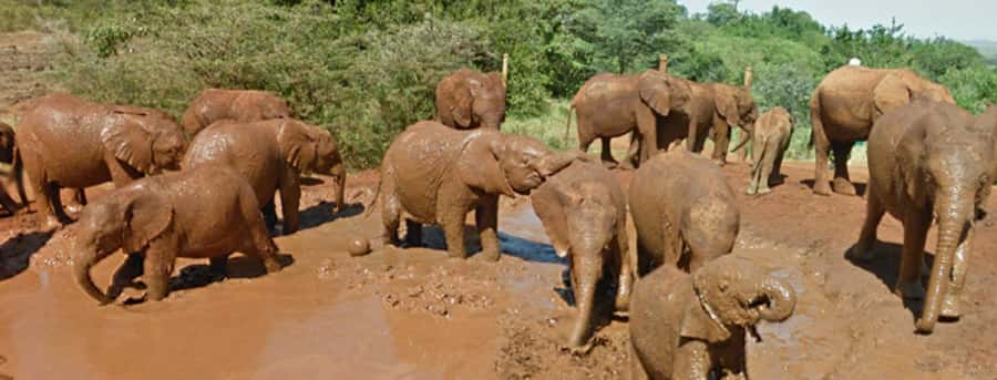 Amboseli National Park Day Trip from Nairobi - The first sight of Amboseli