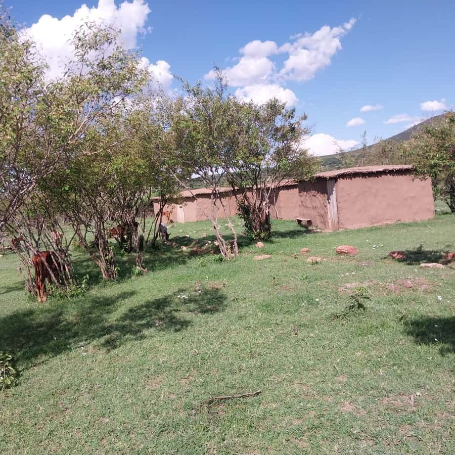 Amboseli Wildlife Day Tour And Masai Village Visit - Key points to know before booking