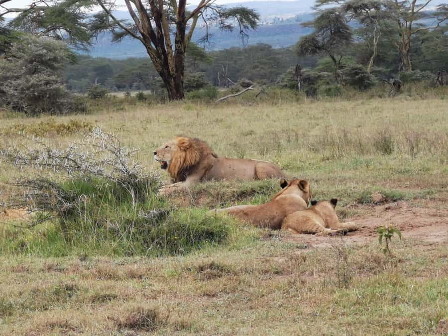 Amboseli Wildlife Day Tour And Masai Village Visit - Emali town and the road toward Amboseli