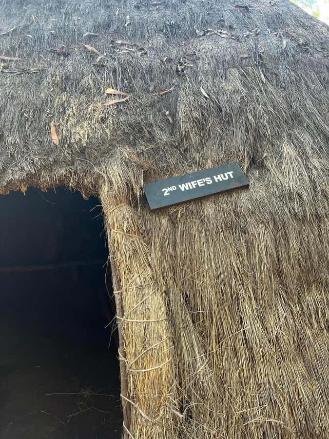 Bomas Of Kenya Cultural Experience - Who will enjoy this afternoon most?