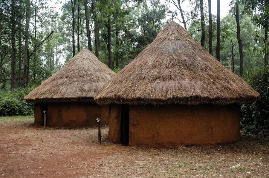 Bomas of Kenya Cultural tour - Who will enjoy this cultural outing?