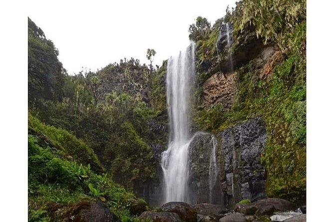 Climbing Mount Kenya 5 Days Via Chogoria Route - Day 5: Sirimon Gate and the drive back to Nairobi