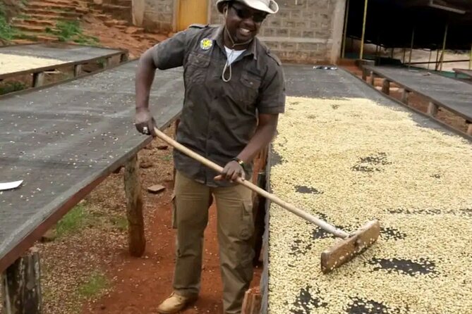 Coffee farm tour, coffee roasting and tasting experience - Fresh coffee, snacks, and a quiet finish