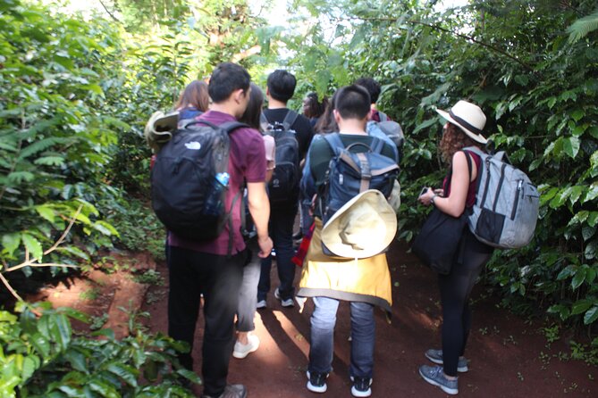 Coffee farm tour, coffee roasting and tasting experience - Why the small group changes the experience