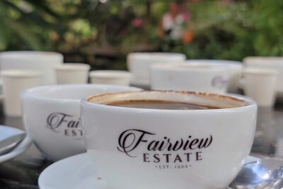 Coffee Farm Tour (Fairview)