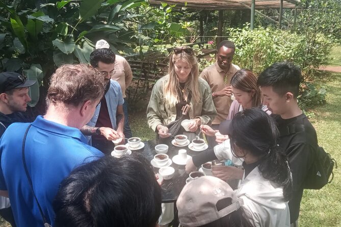Coffee Farm Tour (Fairview) - The tasting: four coffees and a useful surprise