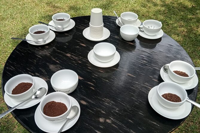 Coffee Farm Tour (Fairview) - Buying coffee at the farm shop