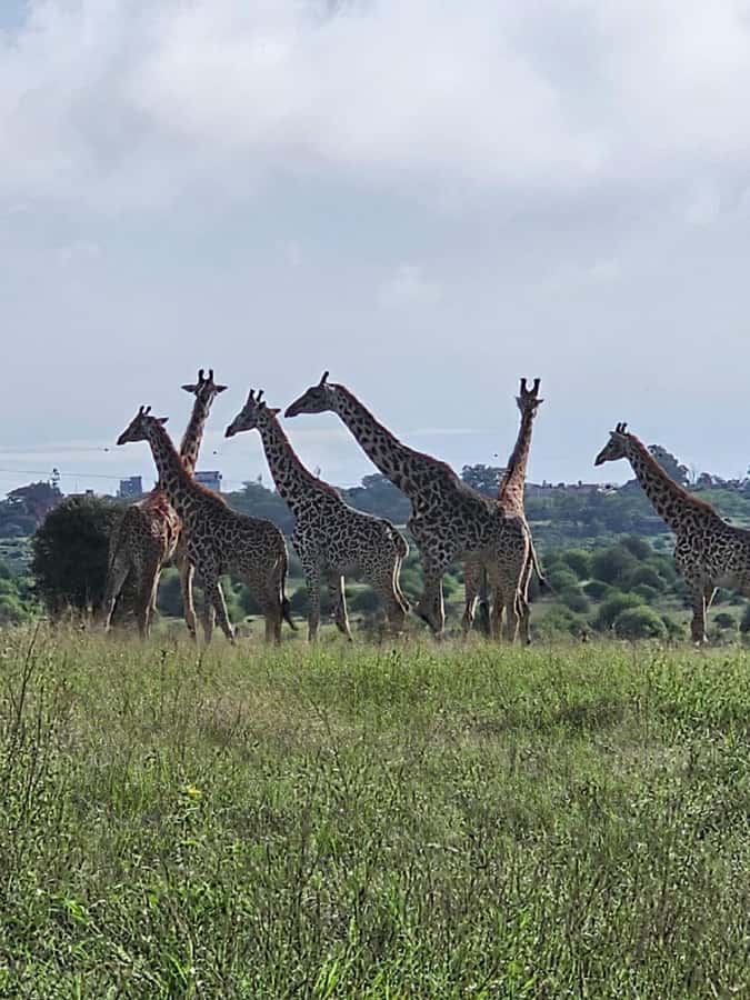 Day tour Hells gate and lake Naivasha from Nairobi - The guided walk and volcanic scenery