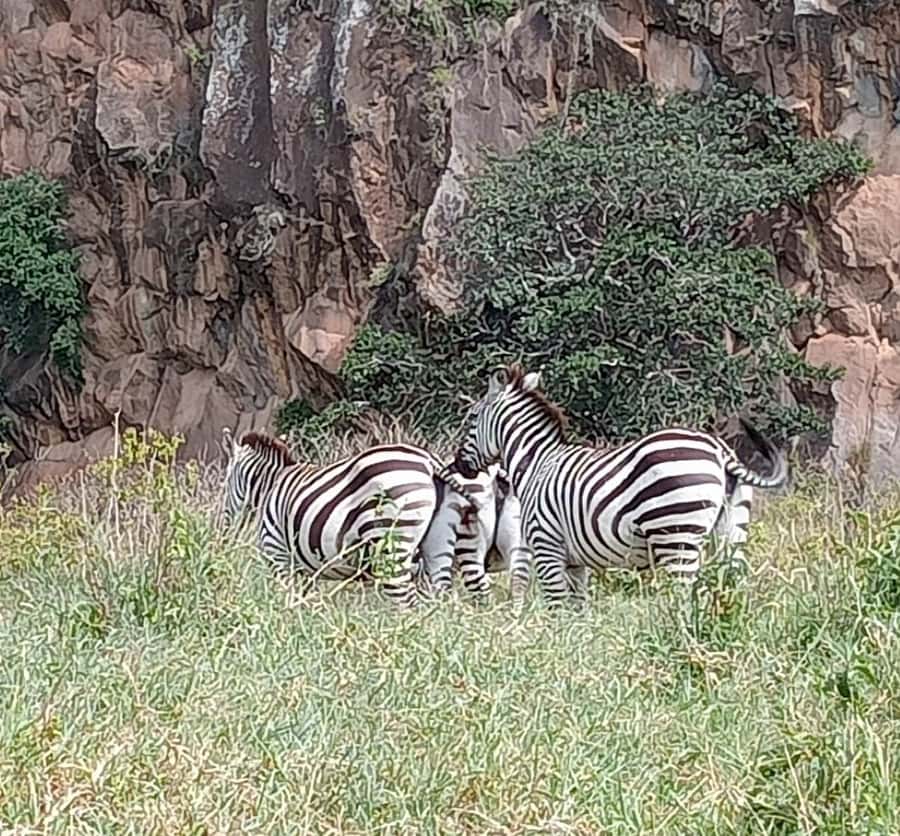 DAY TOUR- LAKE NAIVASHA AND HELL'S GATE PARK-WITH PARK FEES - Key points at a glance