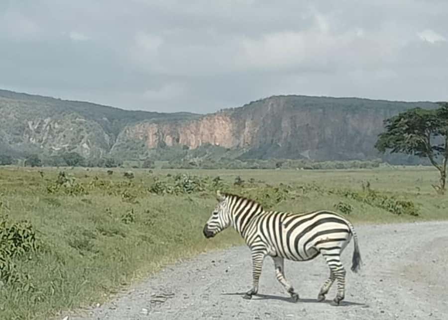 DAY TOUR- LAKE NAIVASHA AND HELL'S GATE PARK-WITH PARK FEES - Cycling through Hell’s Gate from 9am to 11am