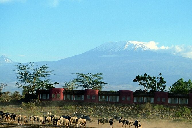 Day Tour to Amboseli National Park - OLTUKAI Lodge lunch gives the day a needed pause