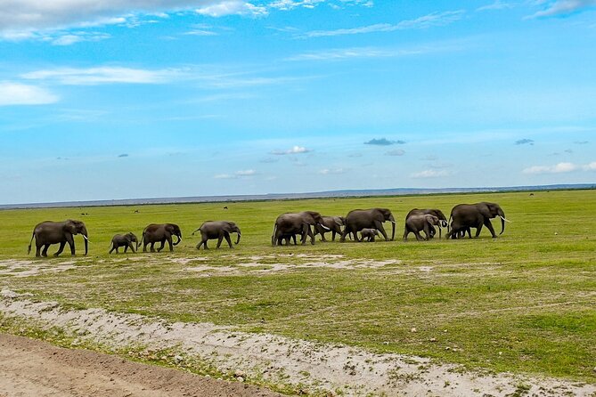 Day Tour To Amboseli National Park From Nairobi - Why Amboseli makes a strong day safari