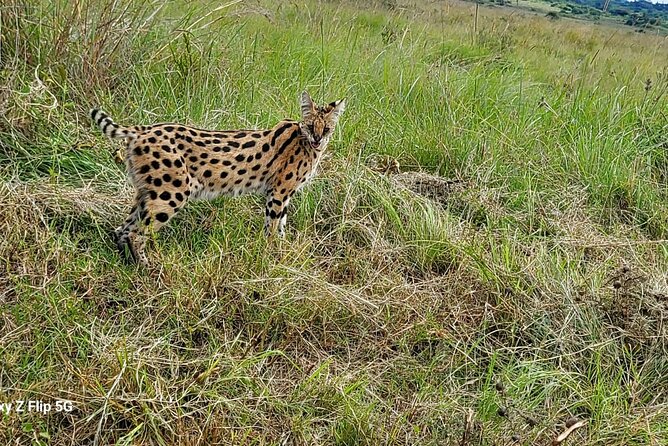 Day Tour To Amboseli National Park From Nairobi - What the $160 price really covers