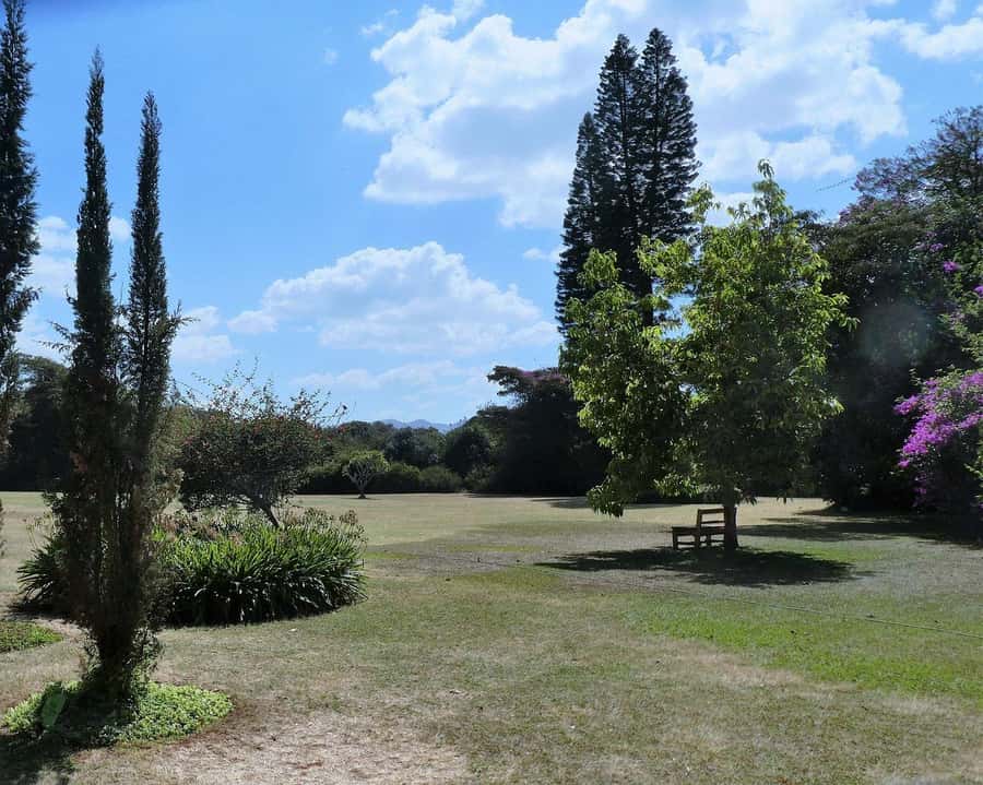 Day Tour to Giraffe Center and Karen Blixen Museum - Who should book this Nairobi outing?