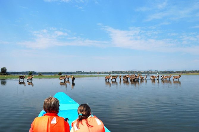 Day Tour To Hell's Gate National Park and Optional Boat Ride on Lake Naivasha. - The optional Lake Naivasha boat ride
