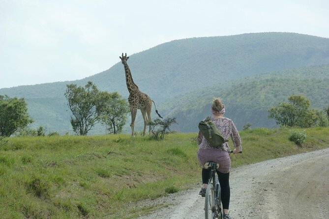 Day tour to Hells Gate, Lake Naivasha and Crescent Island Walk - Crossing Lake Naivasha by boat