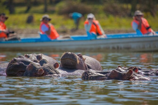Day tour to Hells Gate, Lake Naivasha and Crescent Island Walk - Who will enjoy this tour most