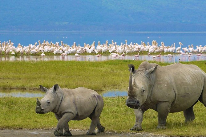 Day Tour To Lake Nakuru Park With Optional Boat Ride on Lake Naivasha - Leaving Nakuru and heading to Lake Naivasha