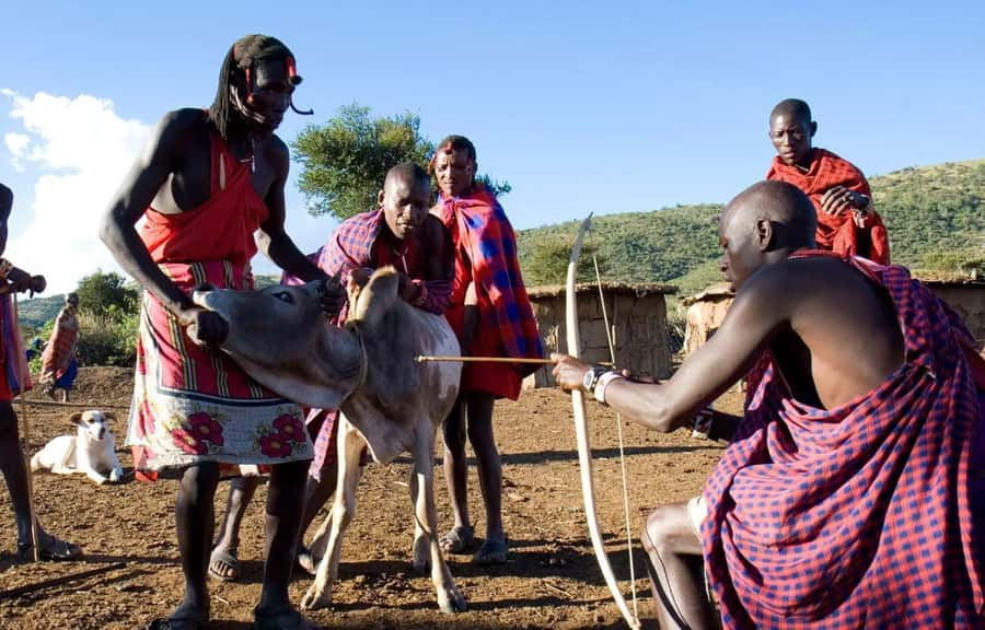 Day Tour to Masai Village From Nairobi - Who will enjoy this five-hour cultural outing