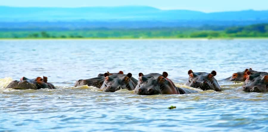 Day Tour To Mount Longonot Park From Nairobi - Timing, transport, and the long return to Nairobi