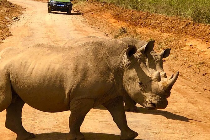 Day Tour to Nairobi National Park and Giraffe Center - How much value do you get for $180?