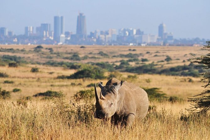Day Tour to Nairobi National Park and Giraffe Center - The guides can shape the day