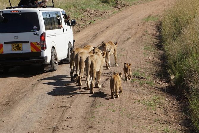 Day Tour to Nairobi National Park and Giraffe Center - Who should book this experience?